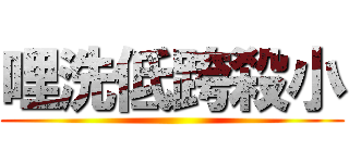 哩洗低跨殺小 ()