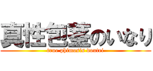 真性包茎のいなり (true phimosis doutei)