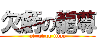 欠虧の龍尊 (attack on titan)