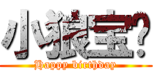 小狼宝贝 (Happy birthday)