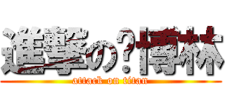 進撃の张博林 (attack on titan)