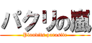 パクリの嵐 (Plaudits parasite)