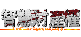 智慧財產權 (intellectual property rights)