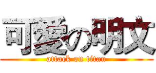 可愛の明文 (attack on titan)