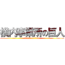 横内事業所の巨人 (attack on titan)