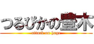 つるぴかの豊木 (attack on hage)