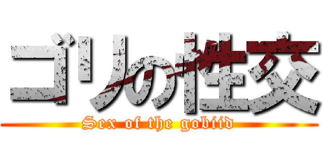 ゴリの性交 (Sex of the gobiid)