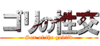 ゴリの性交 (Sex of the gobiid)