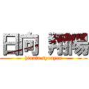 日向 翔陽 (hinata syouyou)