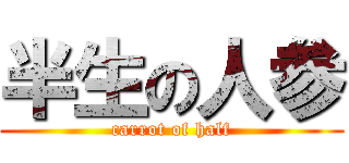 半生の人参 (carrot of half)