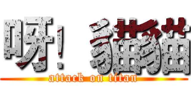 呀！貓貓 (attack on titan)