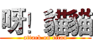 呀！貓貓 (attack on titan)