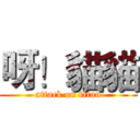 呀！貓貓 (attack on titan)