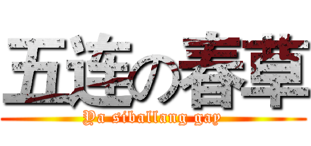 五连の春草 (Ya siballang gay)