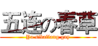 五连の春草 (Ya siballang gay)