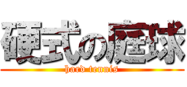 硬式の庭球 (hard tennis)