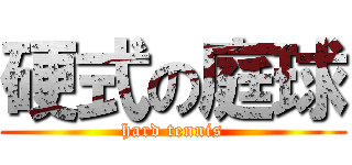 硬式の庭球 (hard tennis)