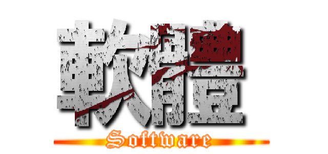 軟體  (Software)