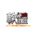 軟體  (Software)