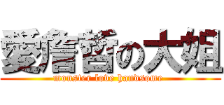愛詹哲の大姐 (monster love handsome )