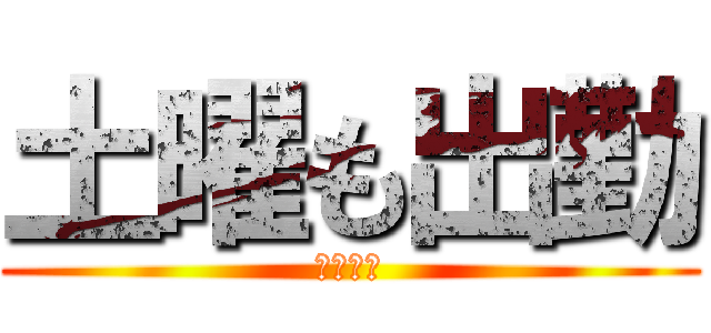 土曜も出勤 (眠いよ〜)