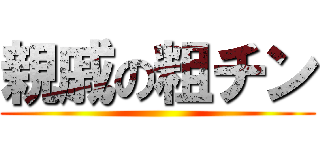 親戚の粗チン ()