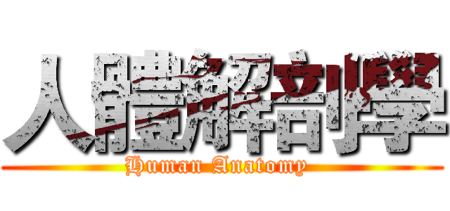 人體解剖學 (Human Anatomy )