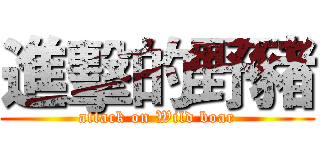 進擊的野豬 (attack on Wild boar)