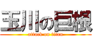 玉川の巨根 (attack on titan)