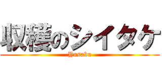 収穫のシイタケ (Yusaku)