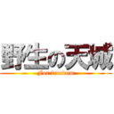 野生の天城 (For freedom)