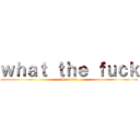 ｗｈａｔ ｔｈｅ ｆｕｃｋ (the anime)