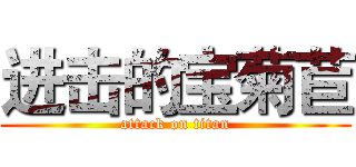 进击的宝菊苣 (attack on titan)