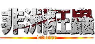 非洲狂蟲 (winner)