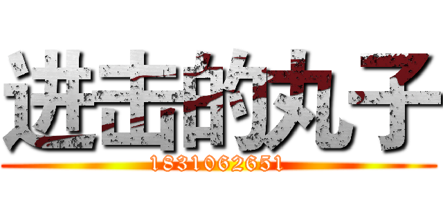 进击的丸子 (1831062651)