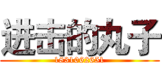 进击的丸子 (1831062651)