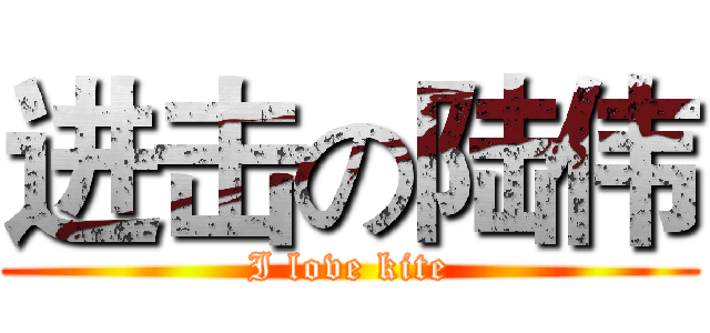 进击の陆伟 (I love kite)