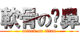 軟骨の塌鼻 (attack on titan)