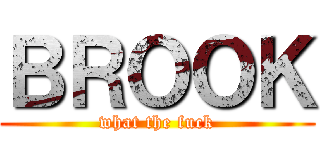 ＢＲＯＯＫ (what the fuck)