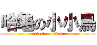 哈龜の小小鳥 (attack on titan)