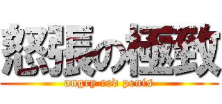 怒張の極致 (angry red penis)