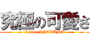 究極の可愛さ (I love INAZUMA)