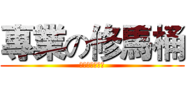 專業の修馬桶 (有需要修馬桶嗎)