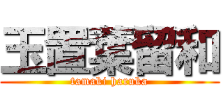 玉置葉留和 (tamaki haruka)