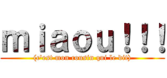 ｍｉａｏｕ！！！ ((c\'est mon cousin qui le dit))