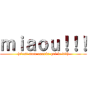 ｍｉａｏｕ！！！ ((c\'est mon cousin qui le dit))