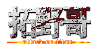 拓野哥 (attack on titan)