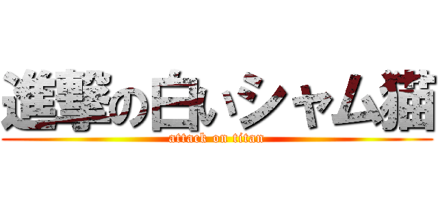 進撃の白いシャム猫 (attack on titan)
