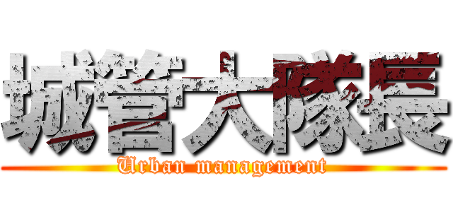 城管大隊長 (Urban management)