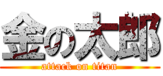 金の太郎 (attack on titan)